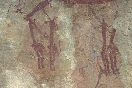 RARI LEE RSA VRE1 36