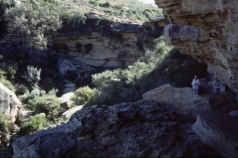 Open original Digital object