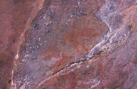 RARI LEE RSA NAU1 38