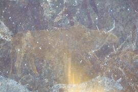 RARI LEE RSA BOA1 109