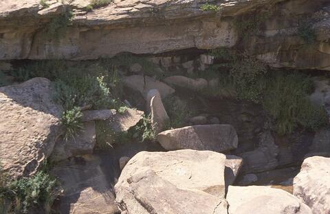 Open original Digital object