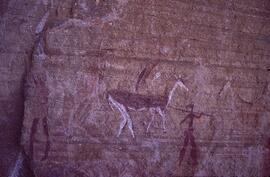 RARI LEE RSA BOA1 51