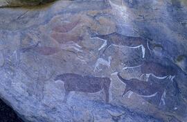 RARI LEE RSA HOR1 17