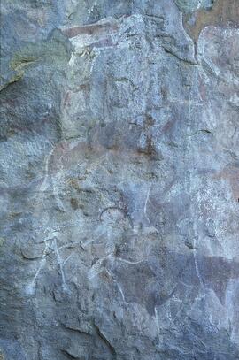 RARI LEE RSA VLS2 53