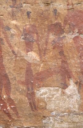 RARI LEE RSA GRE1 13