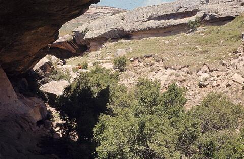 Open original Digital object