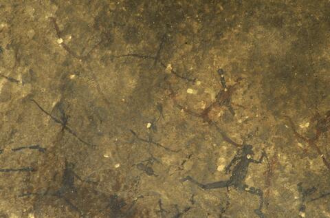 Open original Digitaal object