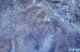 RARI LEE RSA NAU1 45