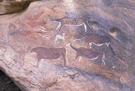 RARI LEE RSA HOR1 19