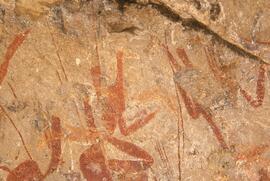 RARI LEE RSA MRI1 78