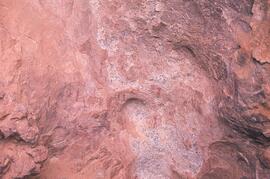 RARI LEE RSA FUE1 19