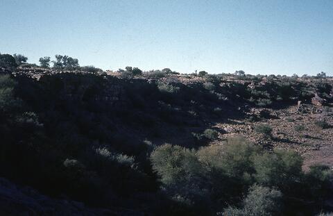 Open original Digital object