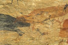 RARI LEE RSA RAD1 63