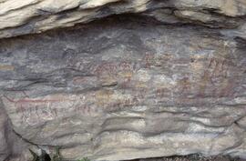 RARI LEE RSA MCU2 41