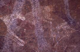 RARI LEE RSA BOA1 61