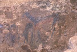 RARI LEE RSA BEI1 35