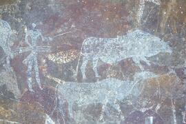 RARI LEE RSA BOA1 60