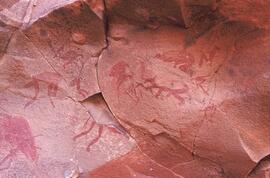 RARI LEE RSA LOR3 72