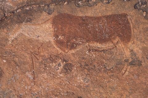 Open original Digital object