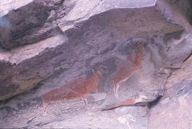 RARI LEE RSA STK1 101