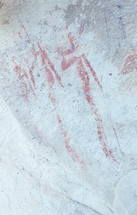 RARI LEE RSA MER3 17