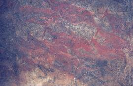 RARI LEE RSA TEP1 47