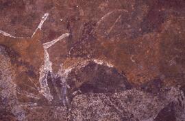 RARI LEE RSA BOA1 87