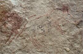 RARI LEE RSA BAI1 20