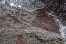 RARI LEE RSA MCU2 37