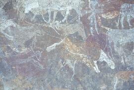 RARI LEE RSA BOA1 114