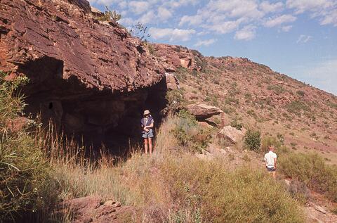 Open original Digital object