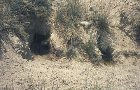 Open original Digital object