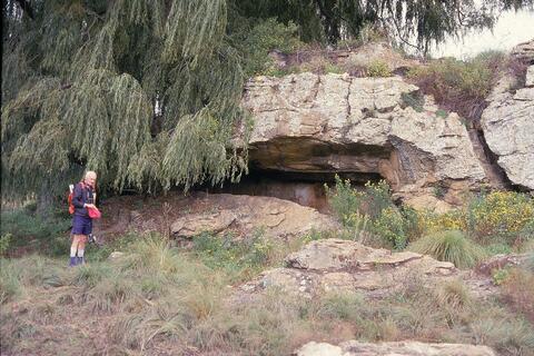 Open original Digital object