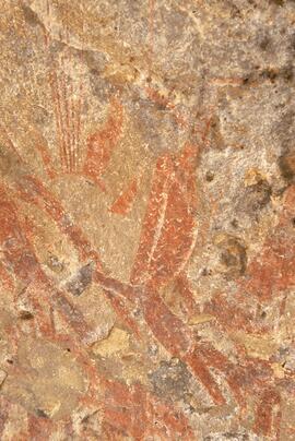 RARI LEE RSA MRI1 68