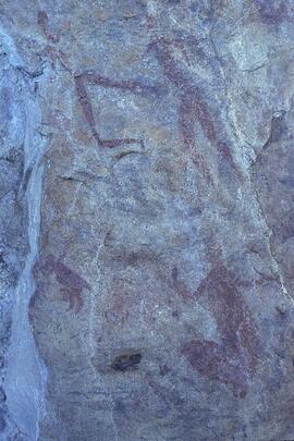 RARI LEE RSA NAU1 36