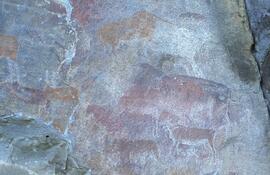 RARI LEE RSA VLS2 57