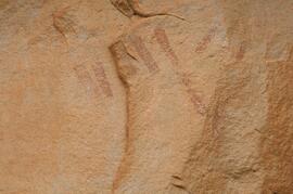 RARI LEE RSA HAO1 18