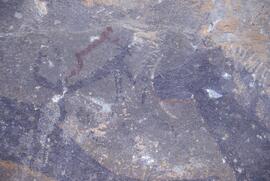 RARI LEE RSA SCR1 21