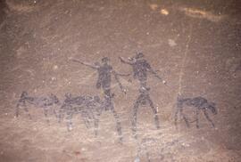 RARI LEE RSA TOL1 19