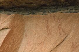 RARI LEE RSA HAO1 16