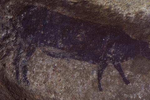 Open original Digital object