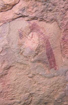 RARI LEE RSA FUE2 21