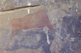 RARI LEE RSA SAT1 15