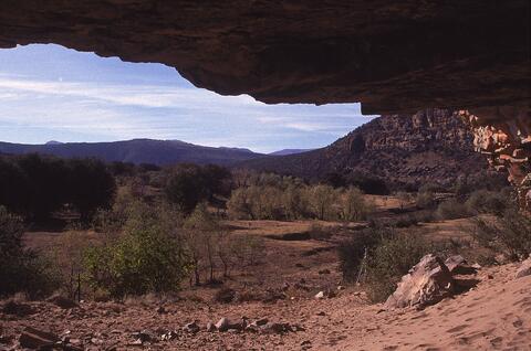 Open original Digital object