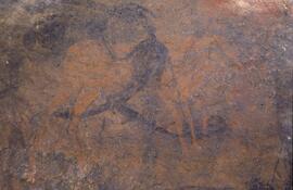 RARI LEE RSA GRE1 37