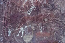 RARI LEE RSA CHR1 66