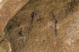 RARI LEE RSA KRS1 24