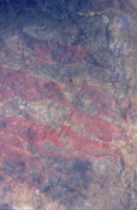 RARI LEE RSA TEP1 49