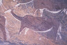 RARI LEE RSA HOR1 14