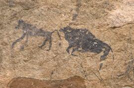 RARI LEE RSA HAO1 11